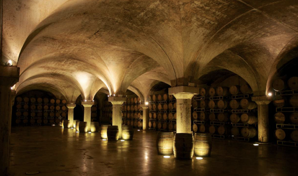 Matrimonio in Piemonte: Le cantine