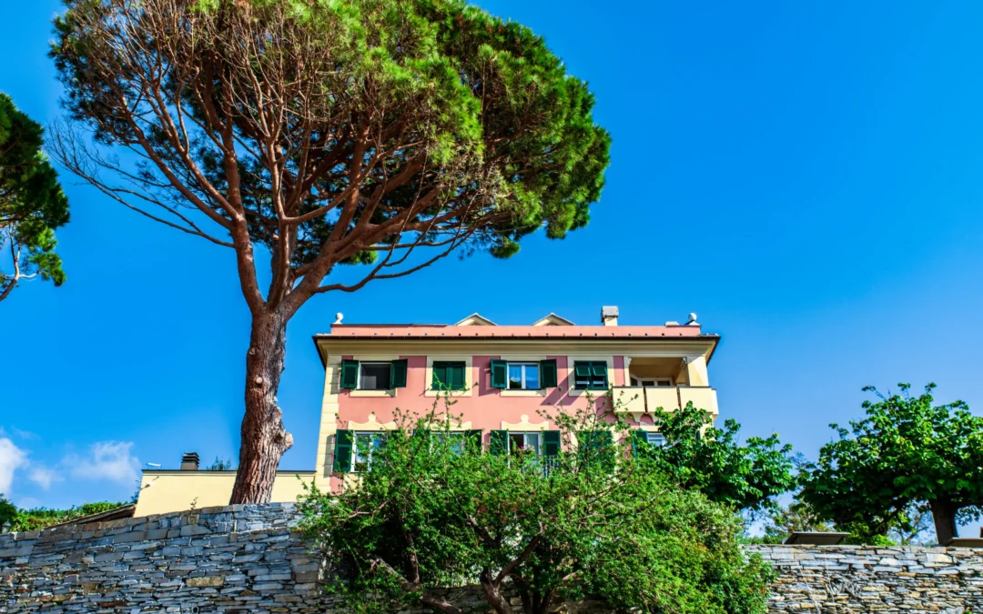 Location esclusive in Liguria: Agriturismo Olivenere